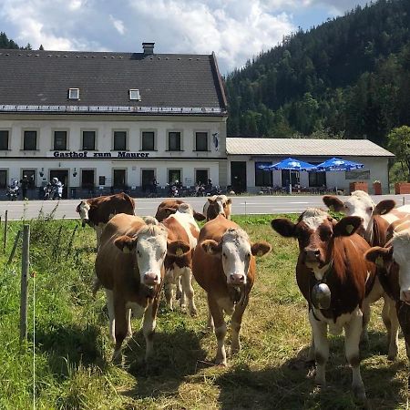Hotel Gasthof Zum Maurer Mariazell Esterno foto